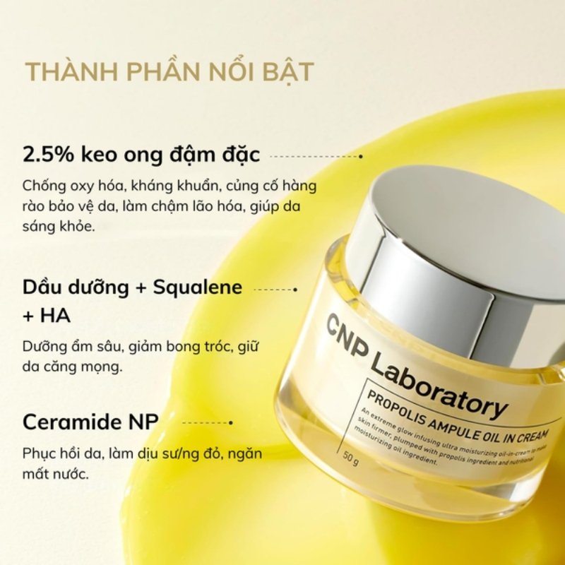 Kem Dưỡng Ẩm Cao Cấp Chiết Xuất Keo Ong Dạng Dầu CNP Propolis Ampule Oil In Cream 50g