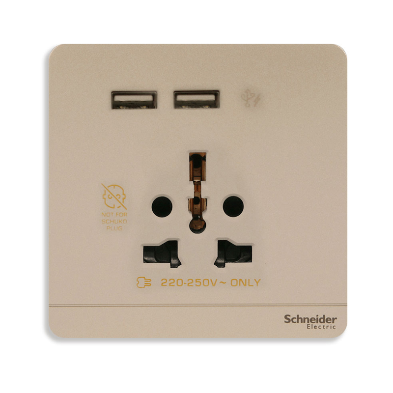 Bộ ổ cắm đa năng và sạc USB đôi màu vàng ánh kim AvatarOn - Schneider (E8342616USB_WG_G19)