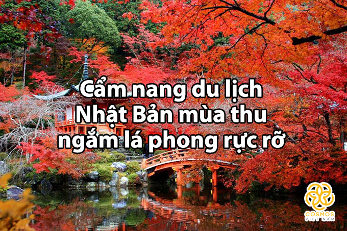 Cẩm nang du lịch Nhật Bản mùa thu ngắm lá phong rực rỡ