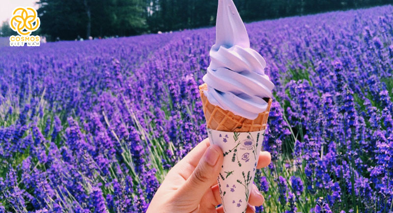 Mùa hè Nhật Bản - rực rỡ sắc màu với hoa, lễ hội, và pháo hoa