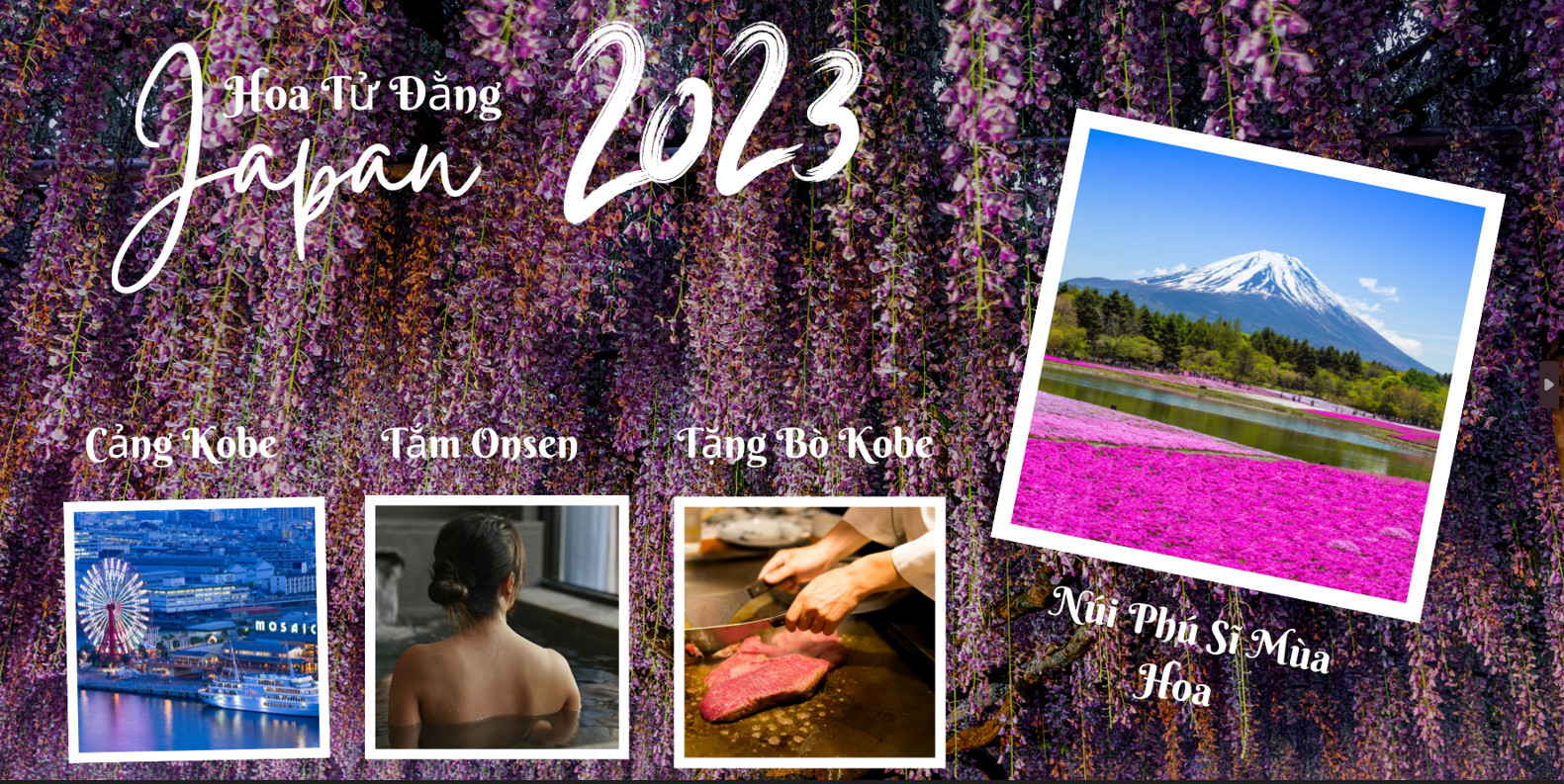 DU LỊCH NHẬT BẢN MÙA HOA TỬ ĐẰNG 2025