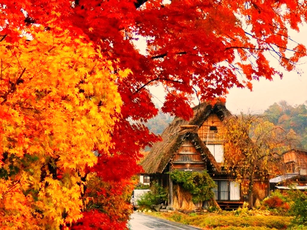 💯💯 BỘ GÓI TOUR “MÙA LÁ ĐỎ NHẬT BẢN 2025” DÀNH CHO BẠN MÙA THU NÀY! 🍂🍁