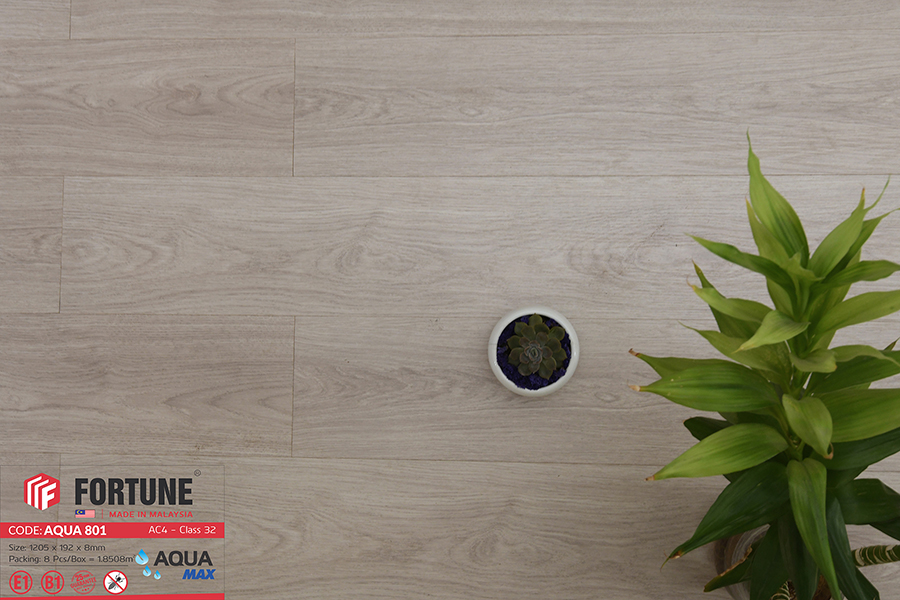 SÀN GỖ Fortune Aqua801