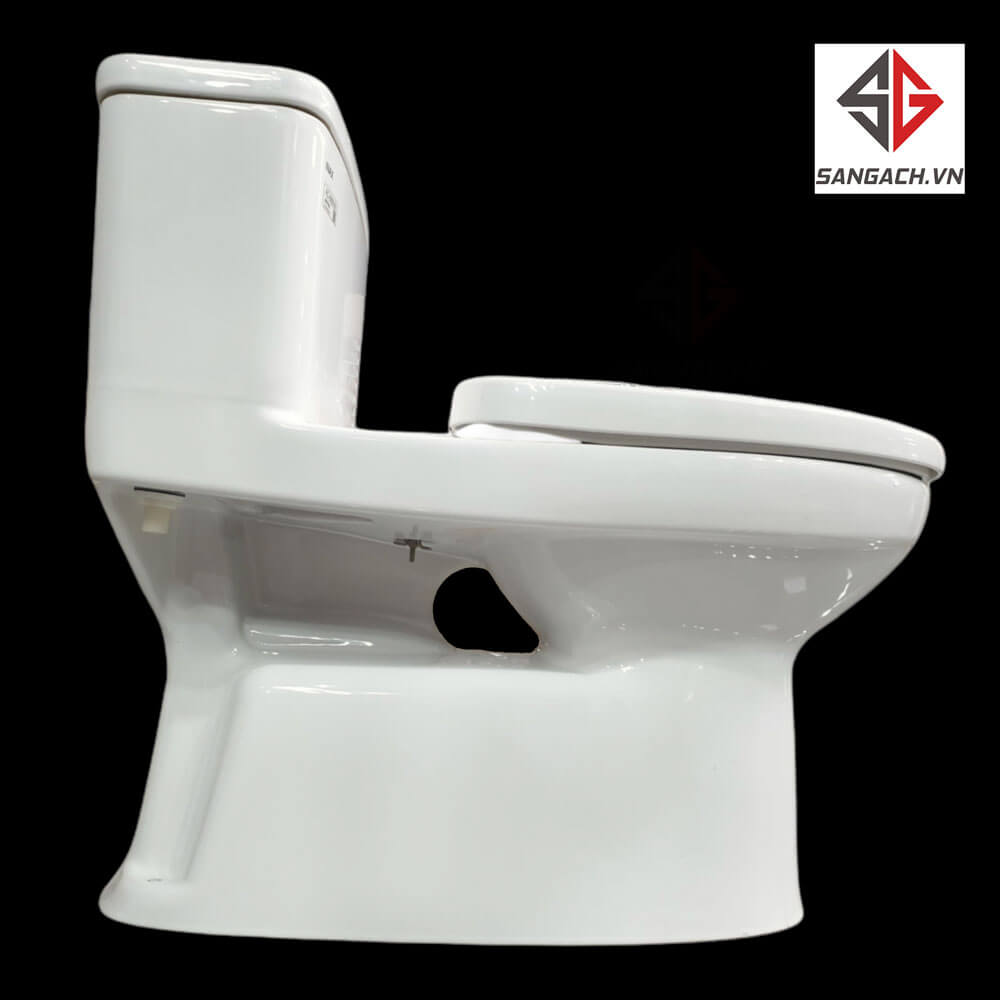 Mặt-bên-bồn-cầu-inax-1-khối-AC-969VN