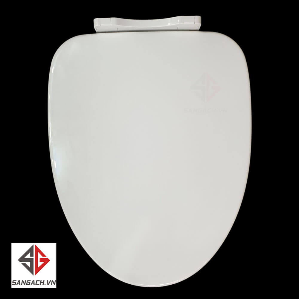 Mặt-trên-nắp-bàn-cầu-CF-500VS