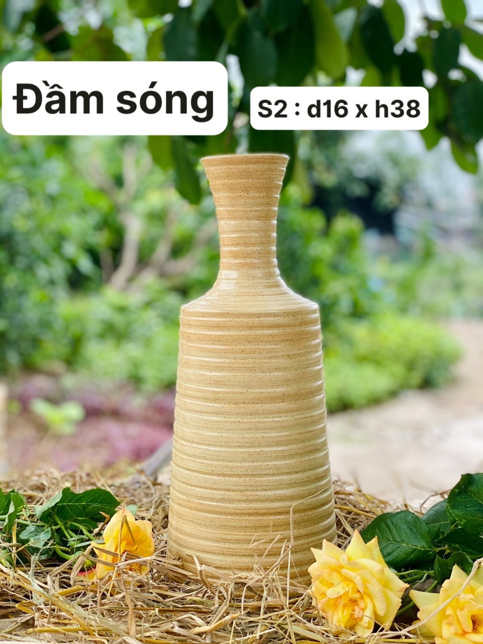 đầm sóng