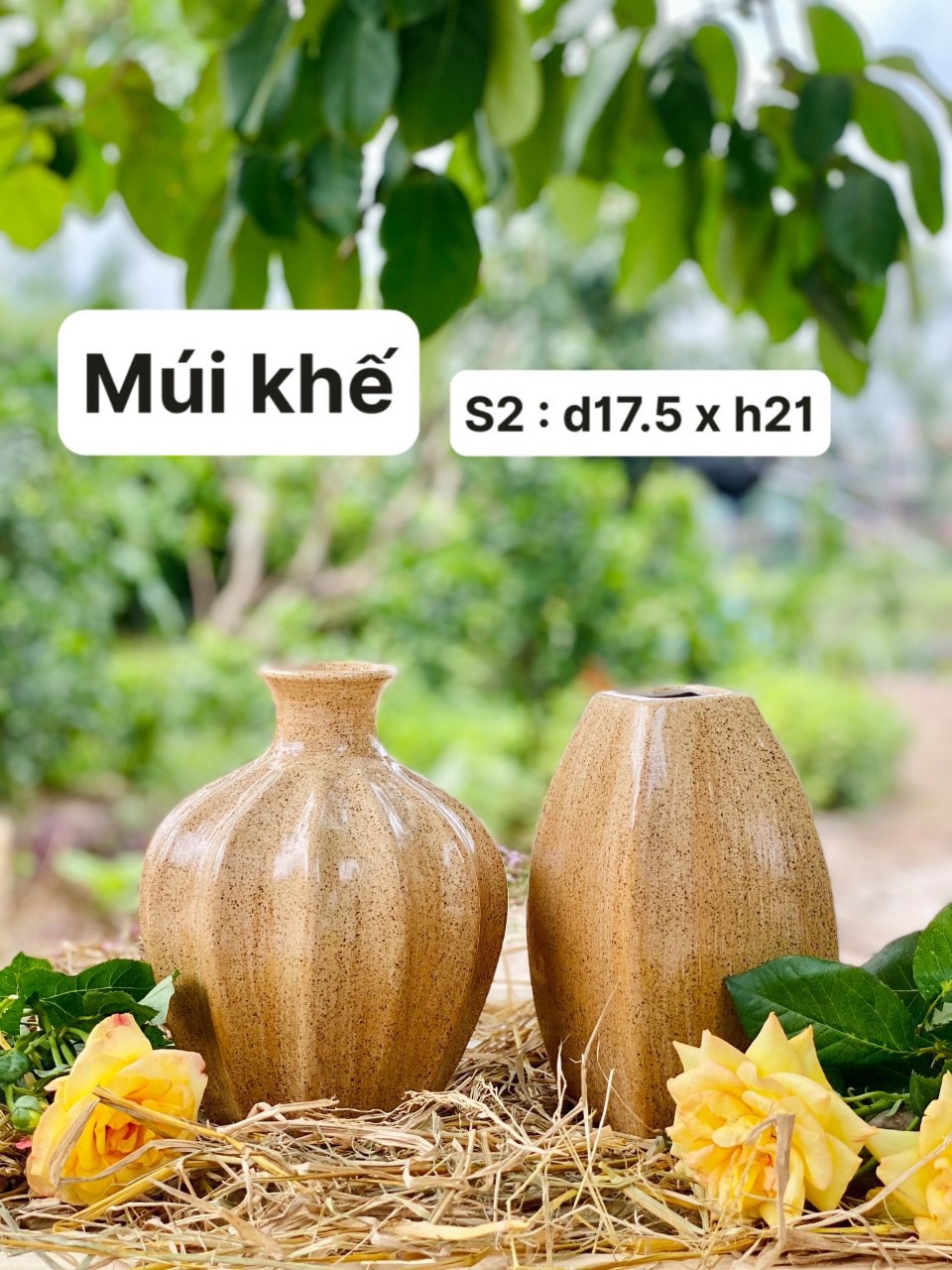múi khế