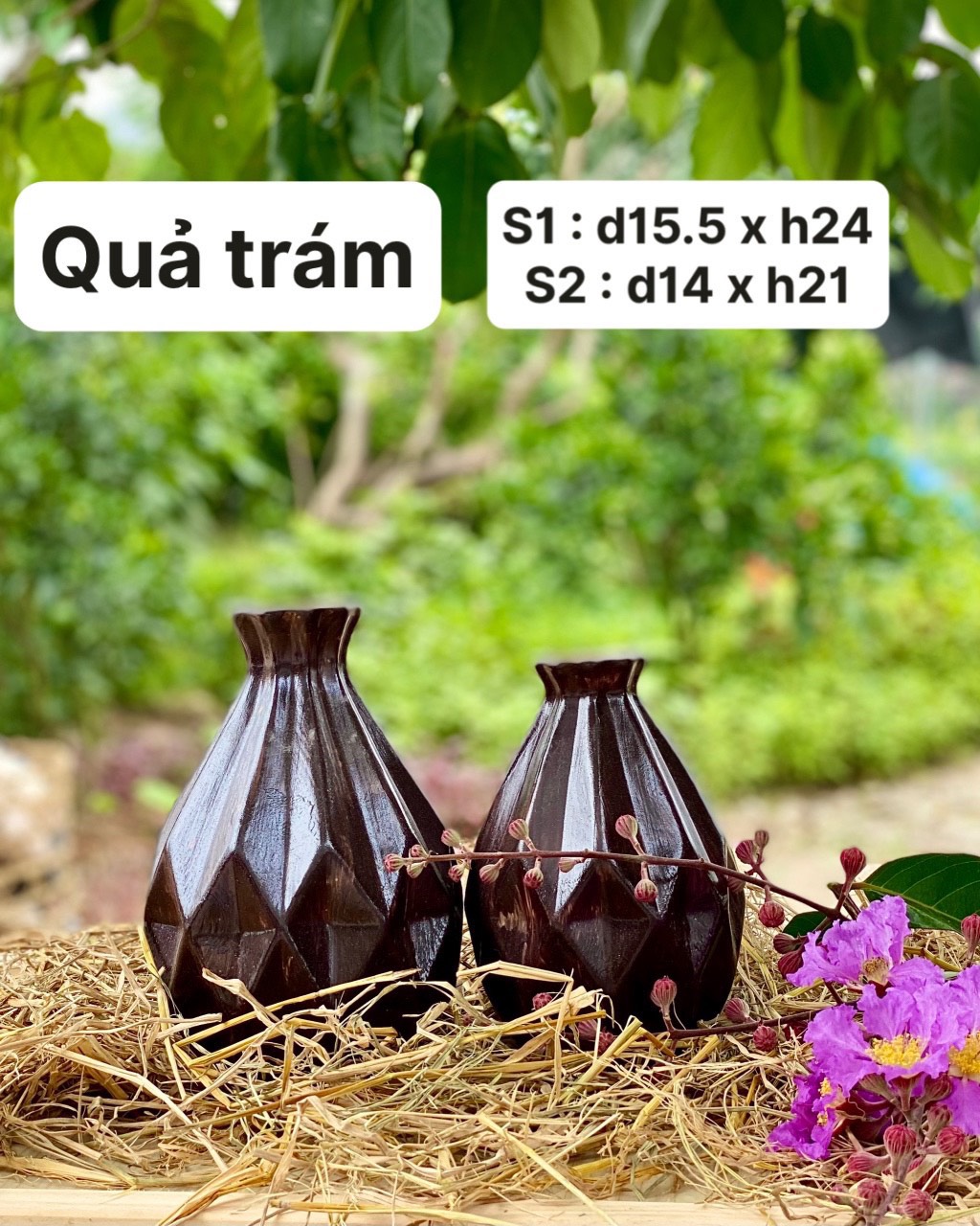 quả trám