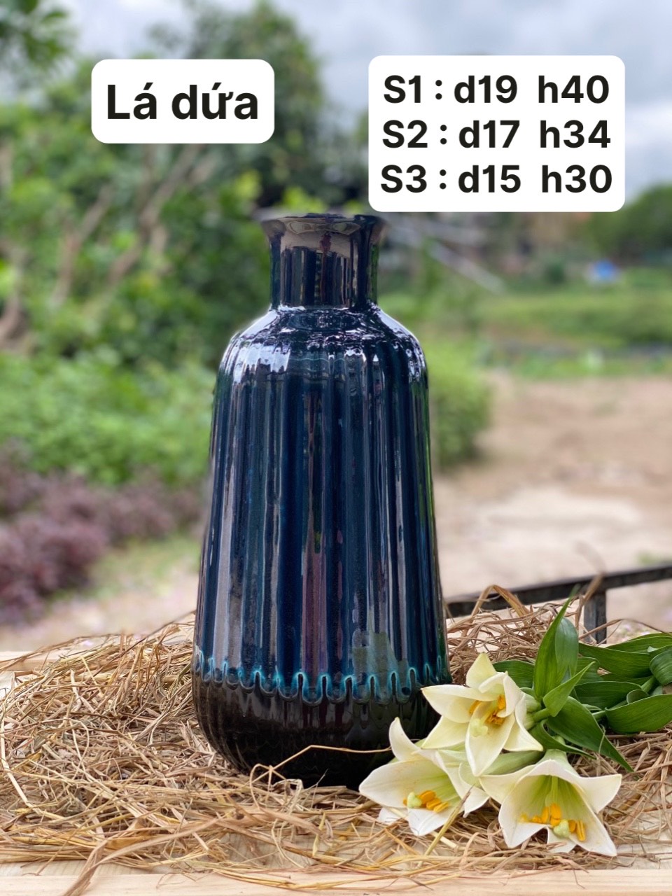 Lá dứa