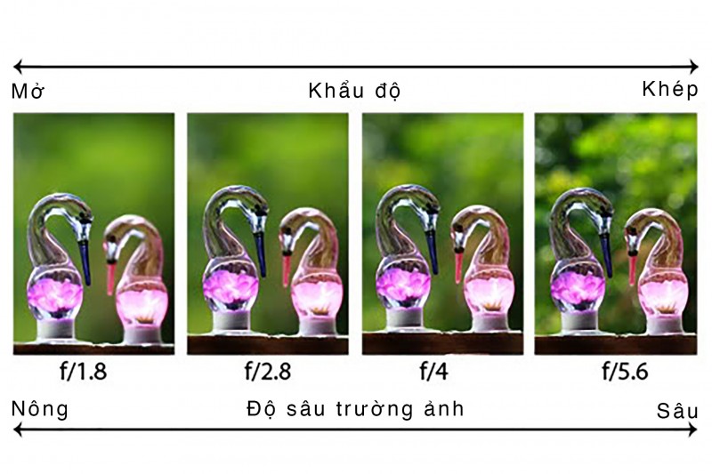 Mức đo độ sâu của trường ảnh 