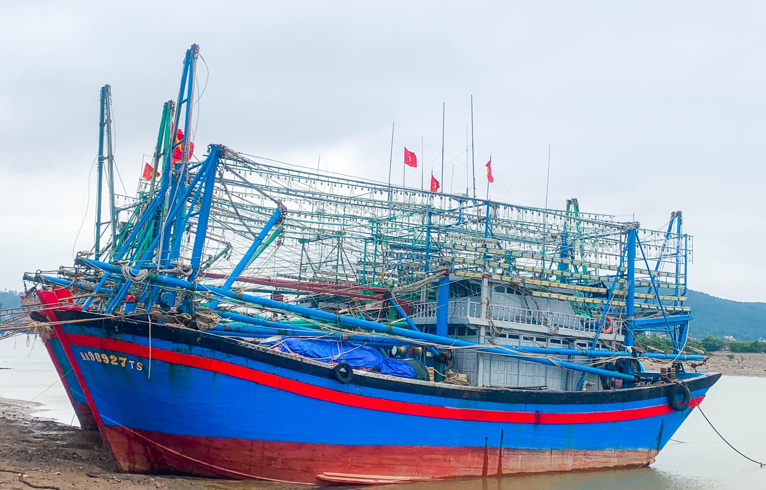 Đèn LED chuyên dụng: Hướng đi mới nâng cao hiệu quả cho nghề lưới vây