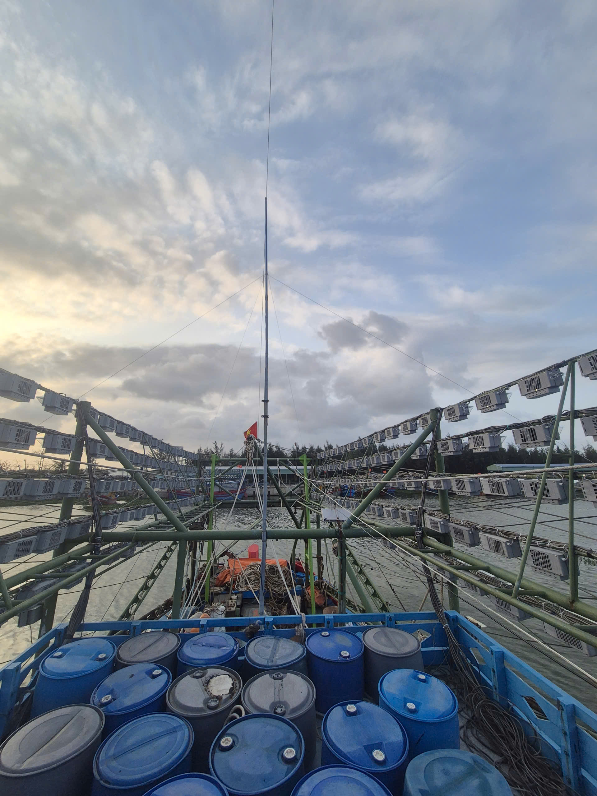 LED 111 ra mắt trên Bản tin Hiệp hội VASEP