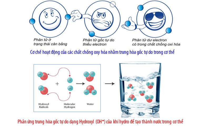 Tác dụng chống gốc tự do, chống Oxy hóa của nước Ion Kiềm ! IONCARES