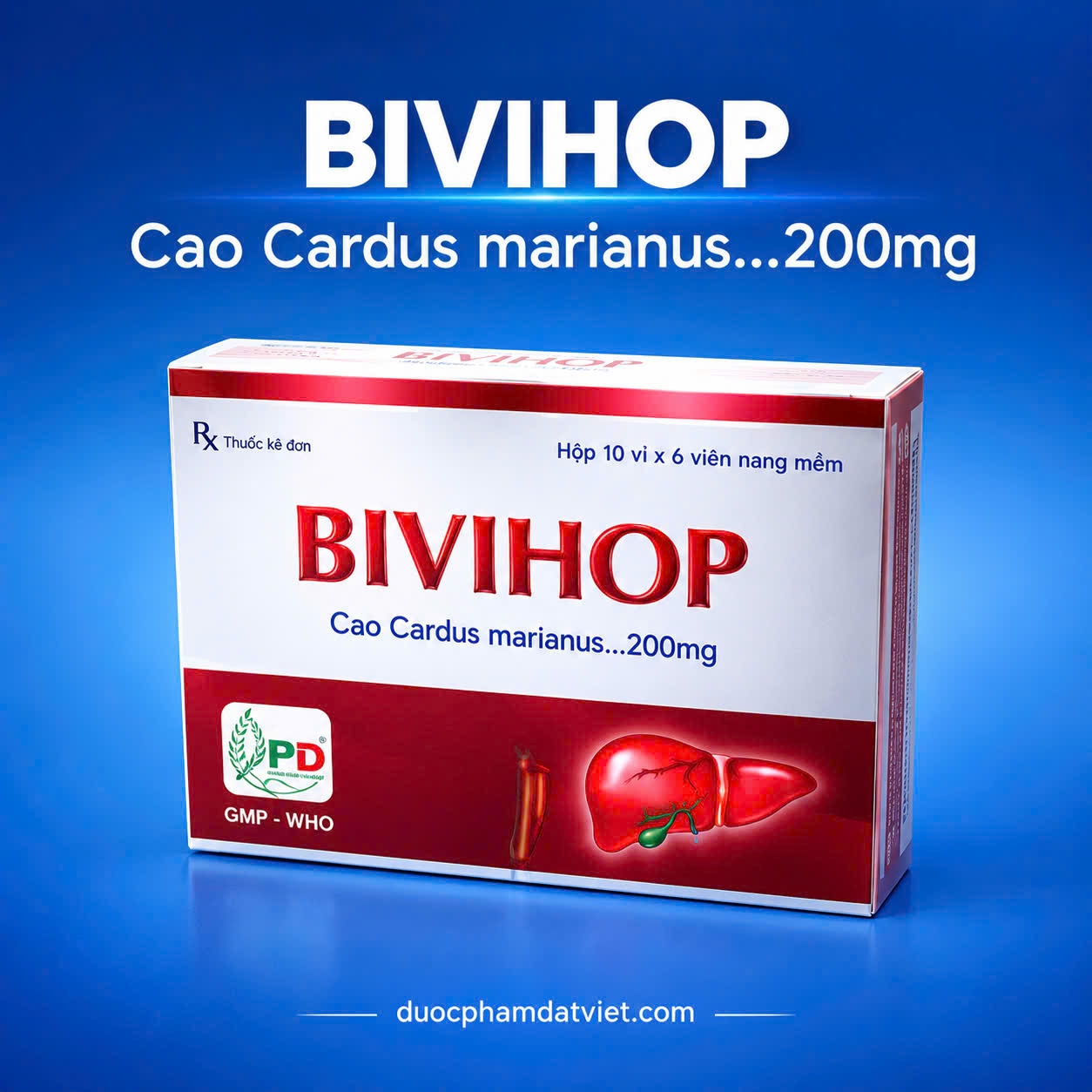 BIVIHOP là thuốc gì? Có tốt không? Công dụng hỗ trợ gan và cách dùng