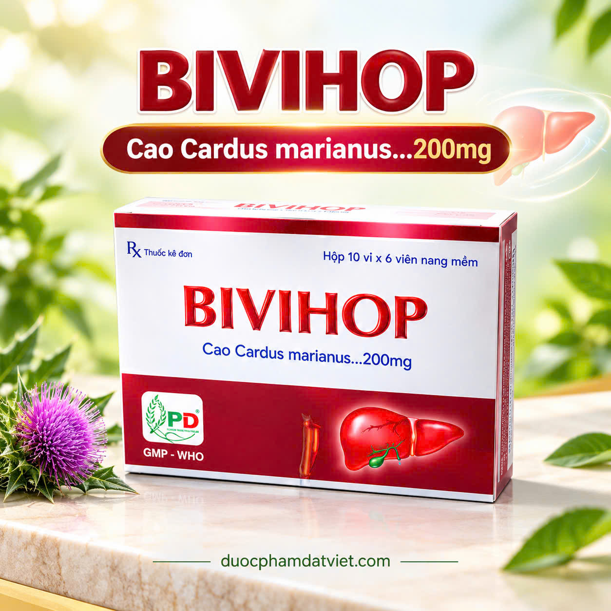 BIVIHOP là thuốc gì?Giá bao nhiêu?Mua ở đâu chính hãng để điều trị chức năng gan ?