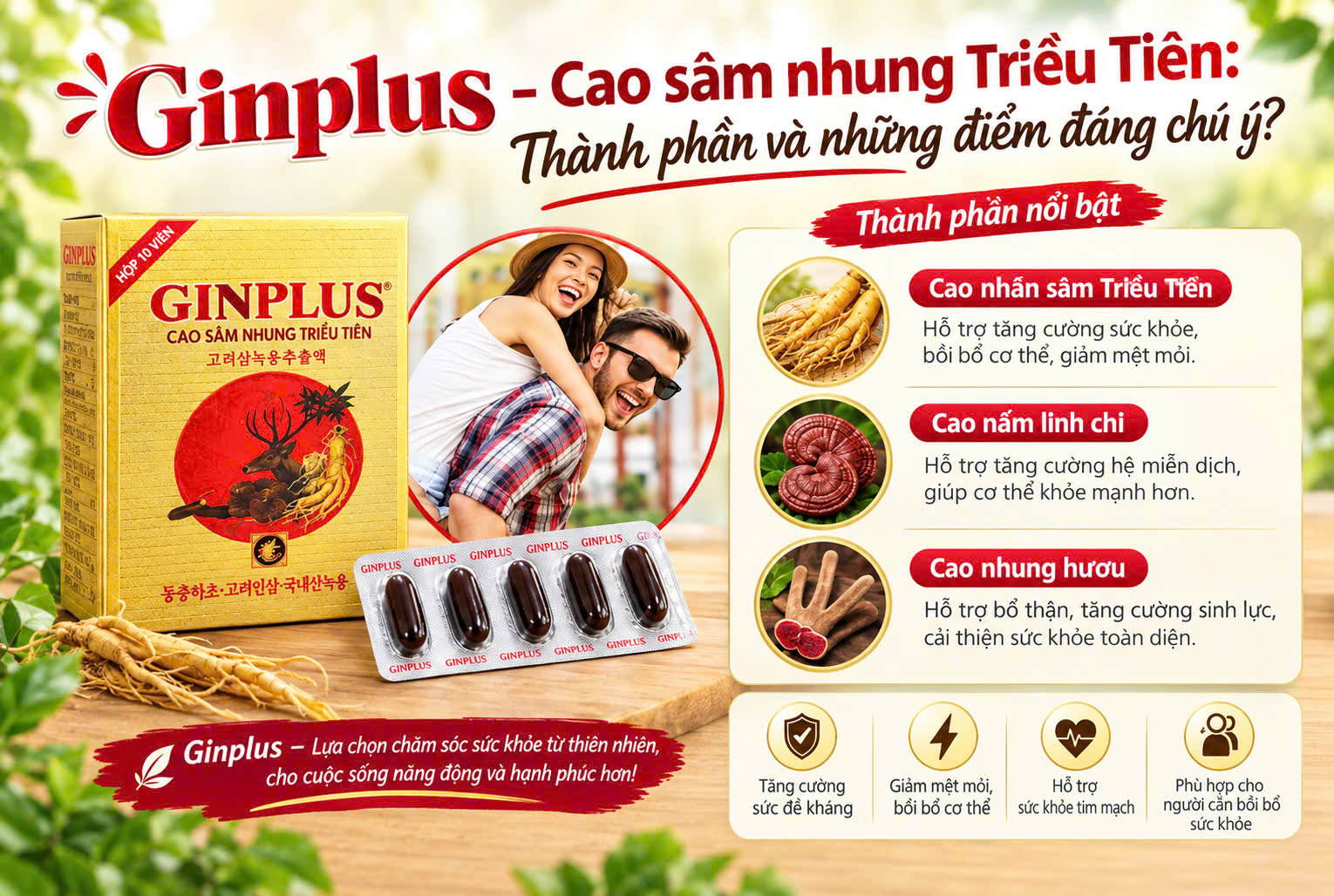 Ginplus – Cao sâm nhung Triều Tiên: Thành phần và những điểm đáng chú ý? Mua thuốc Ginplus ở đâu chính hãng?