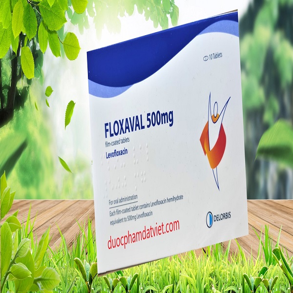 Floxaval 500mg – Thuốc điều trị nhiễm khuẩn hiệu quả – Hộp 10 viên