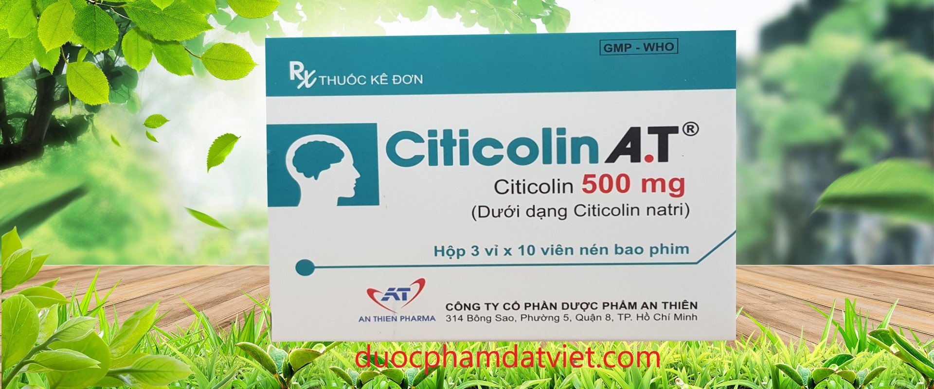 Citicolin A.T 500mg Hộp 30 Viên – Điều Trị Bệnh Về Não