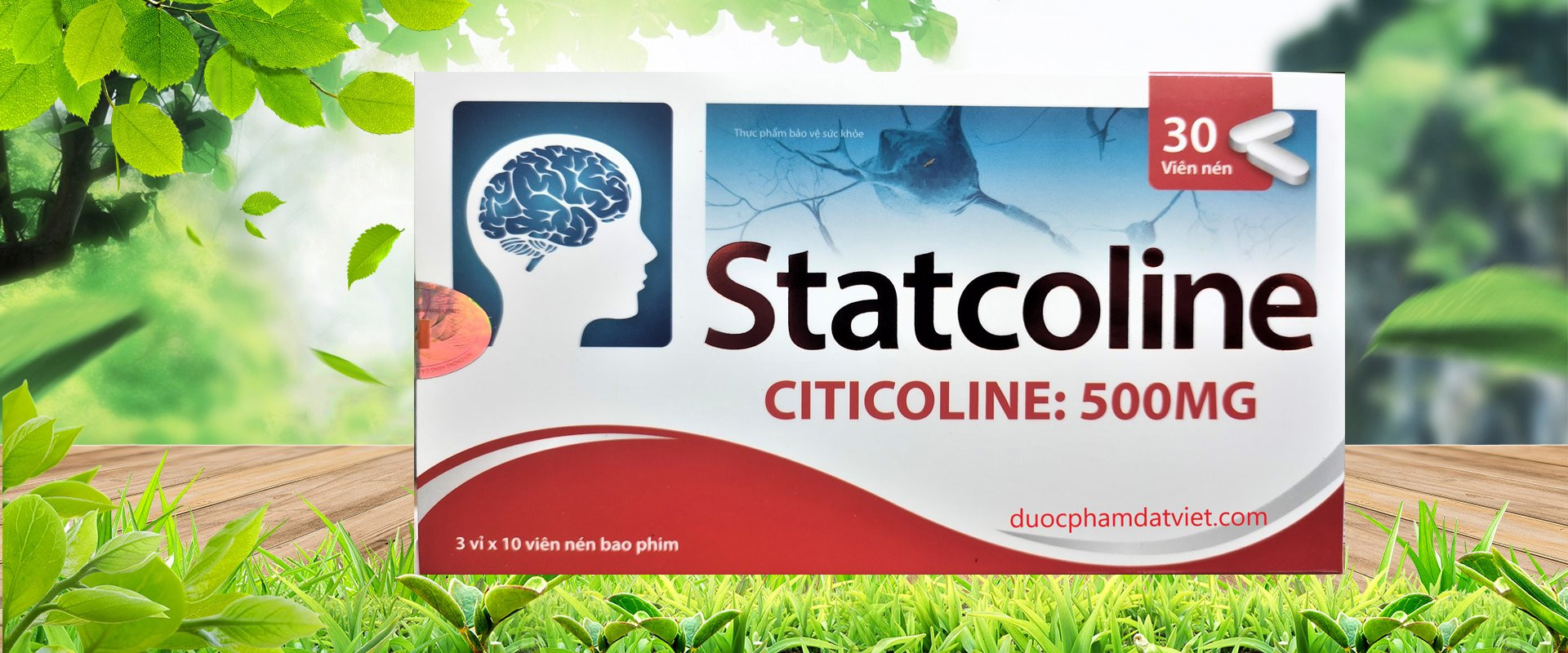 STATCOLINE – PHÒNG NGỪA RỐI LOẠN TUẦN HOÀN NÃO