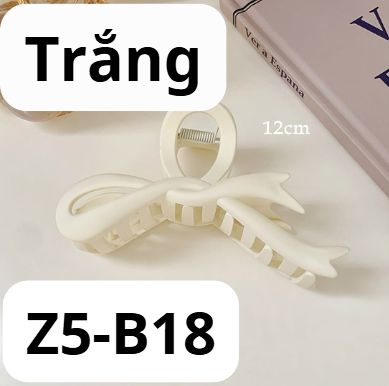 pvn62095-kep-toc-ruy-bang