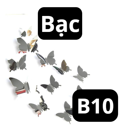 pvn66582-set-12-buom-3d