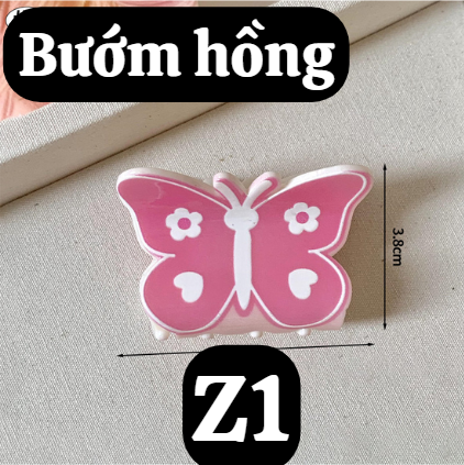 pvn65455-kep-buom-ruy-bang
