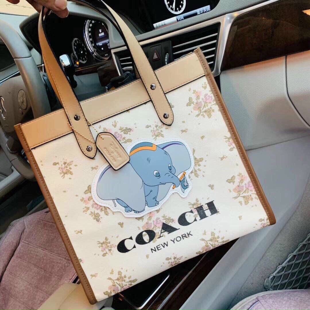 tui-xach-deo-vai-vai-canvas-in-hinh-voi-dumbo-de-thuong