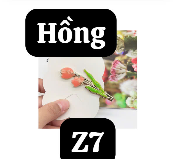 pvn60474-kep-toc-hoa-tulip