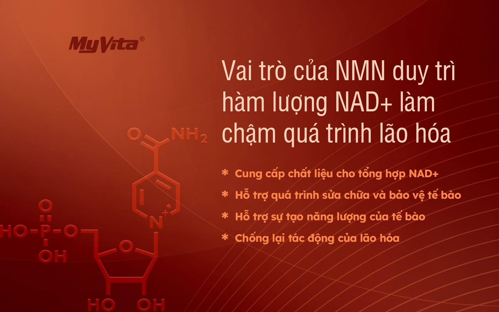 LÃO HÓA VÀ TÁC DỤNG LÀM CHẬM QUÁ TRÌNH LÃO HÓA CỦA NICOTINAMIDE MONONUCLEOTIDE (NMN)