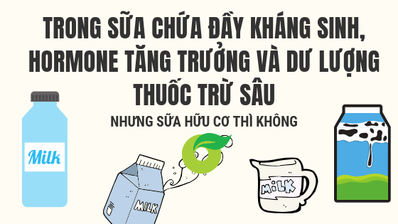 Trong sữa thường có đầy kháng sinh, hormon tăng trưởng và thuốc trừ sâu, còn sữa hữu cơ thì không