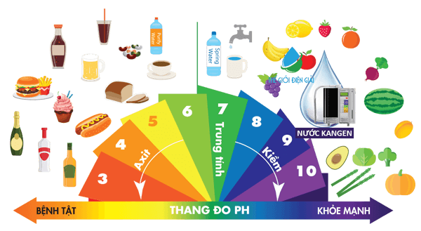 Tìm kiếm thực phẩm có tính axit và tính kiềm