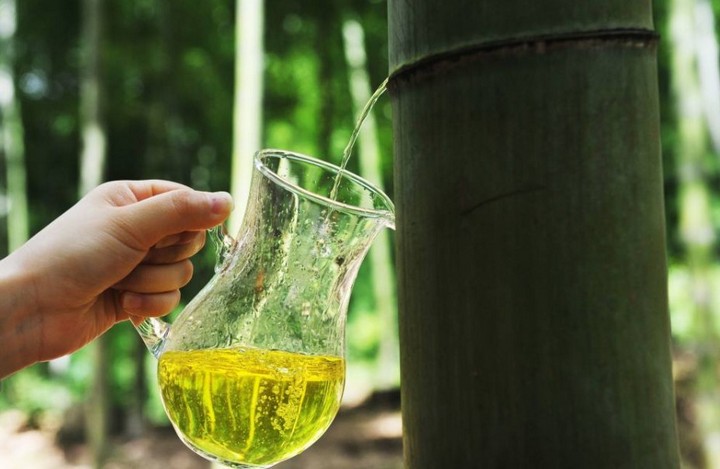 Nở rộ trào lưu uống rượu ủ trong thân cây tre tại Trung Quốc