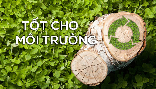 Viên nén gỗ sinh khối - Giải pháp tối ưu cho hệ thống đốt