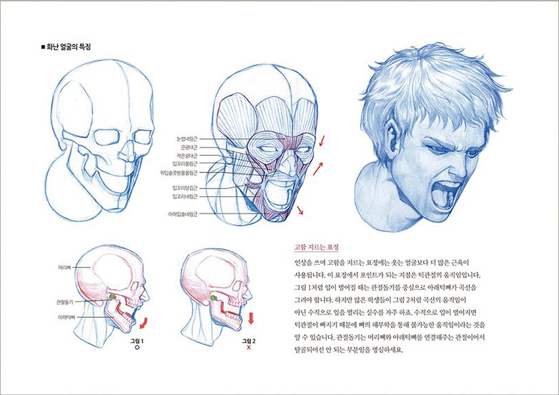 Anatomy Drawing Class