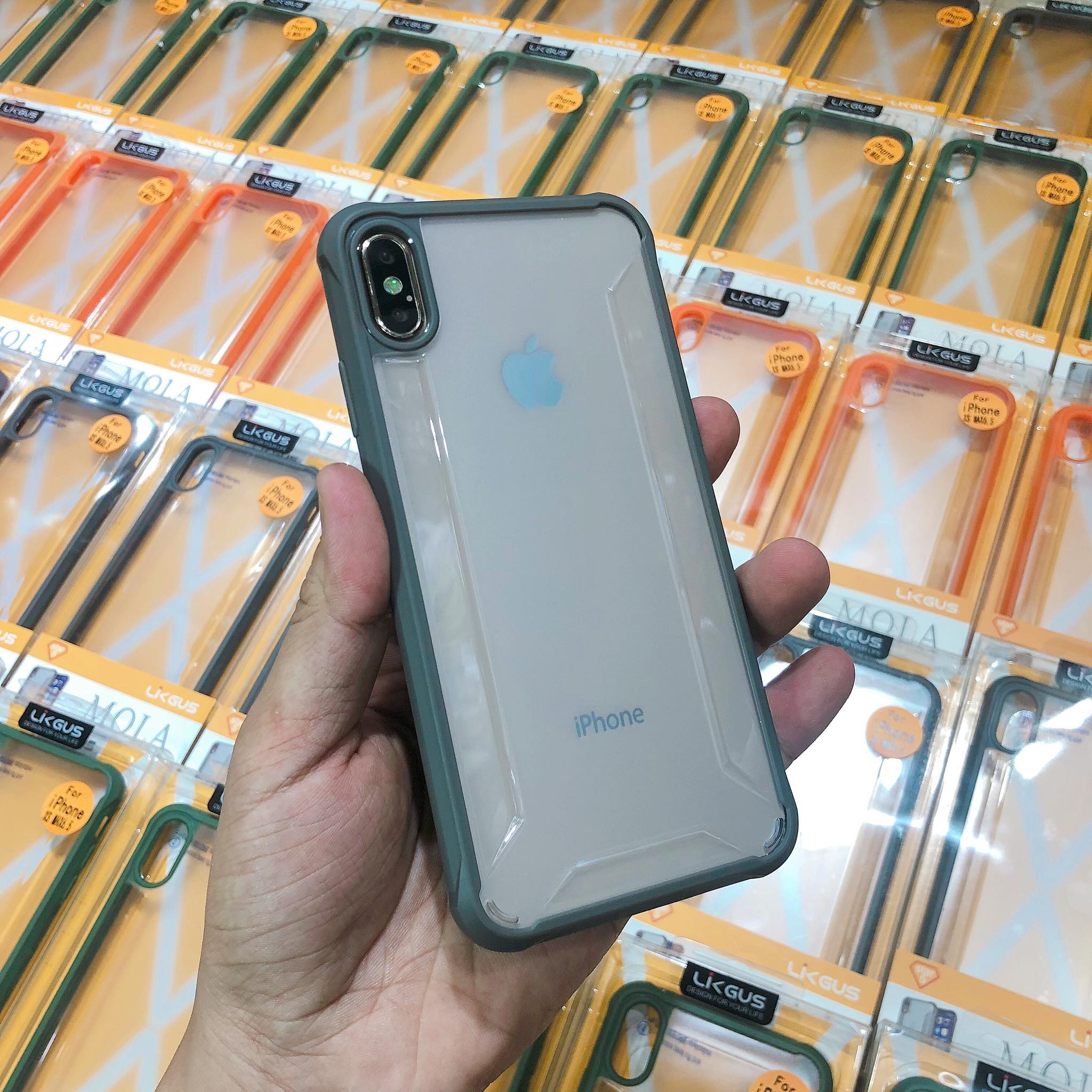 43026801_2219954954913104_6759275047744962560_o