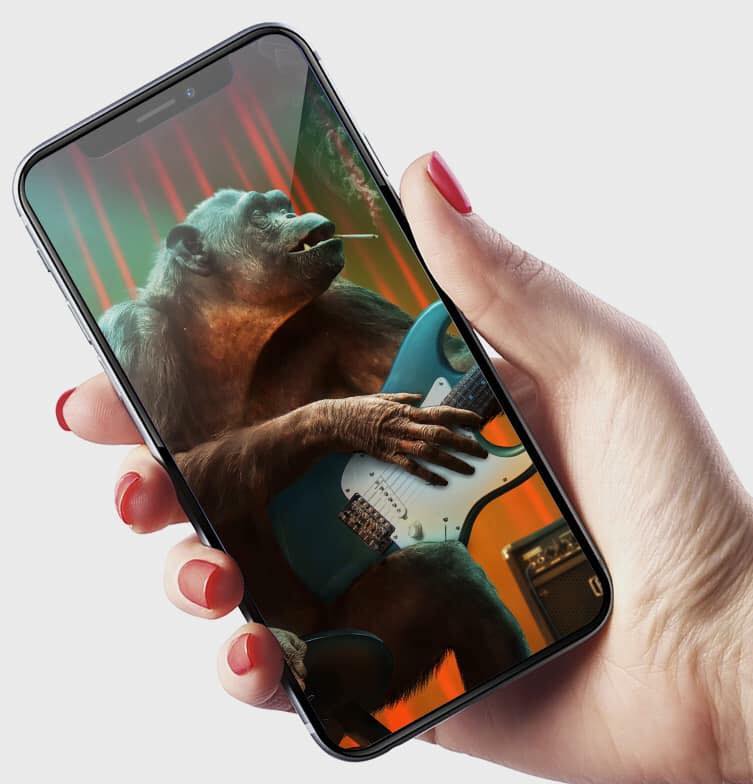 45549855_2242679722640627_4245792570455621632_n