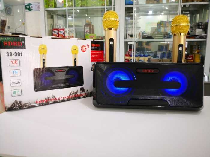 Loa karaoke kèm 2 mic 301 siêu hay