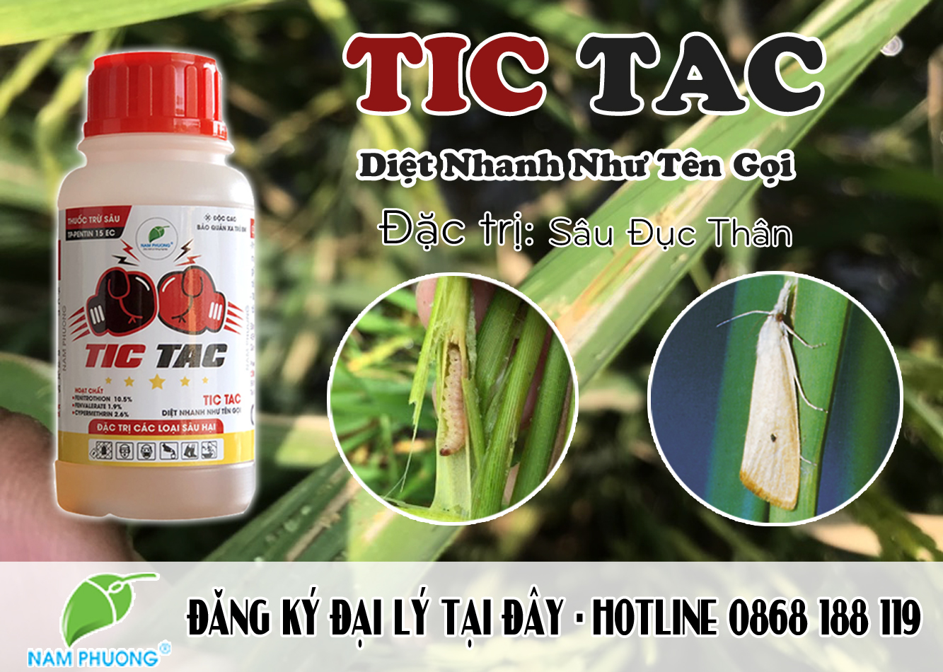 tic-tac-250-diet-nhanh-nhu-ten-goi