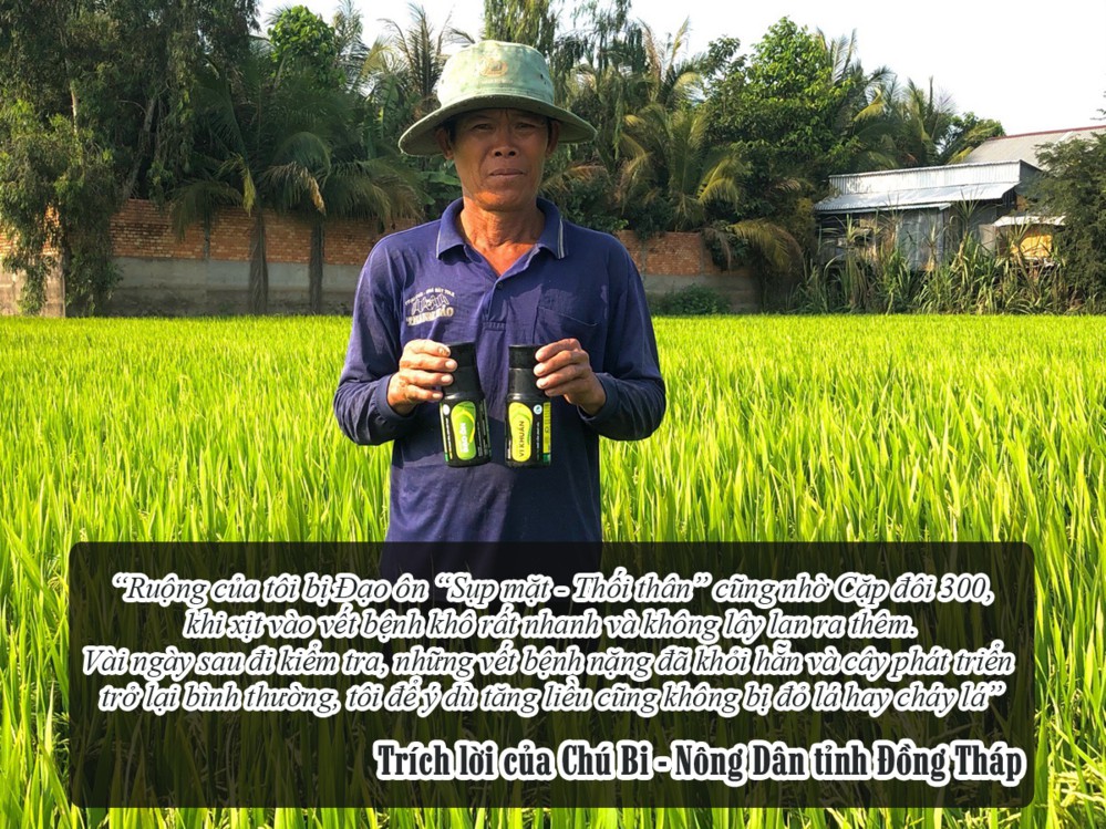 cam-nhan-sau-khi-su-dung-cam-doi-300