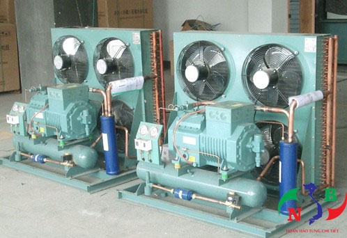 Lắp đặt kho lạnh tại Hải Phòng