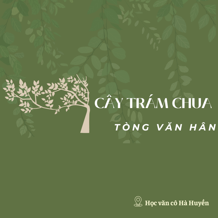 Không gian thời gian nghệ thuật trong Cây trám chua phần 2