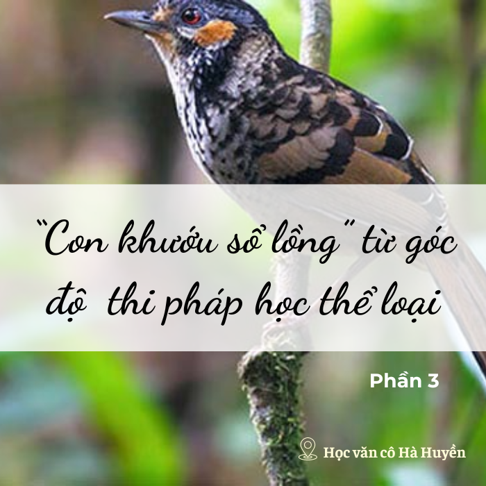 Vận dụng thi pháp học vào dạy học văn bản Con khướu sổ lồng phần 3