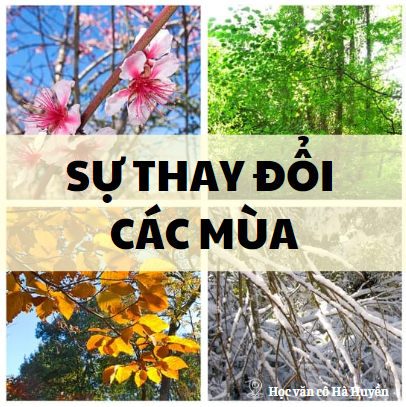 Tác động của sự thay đổi các mùa