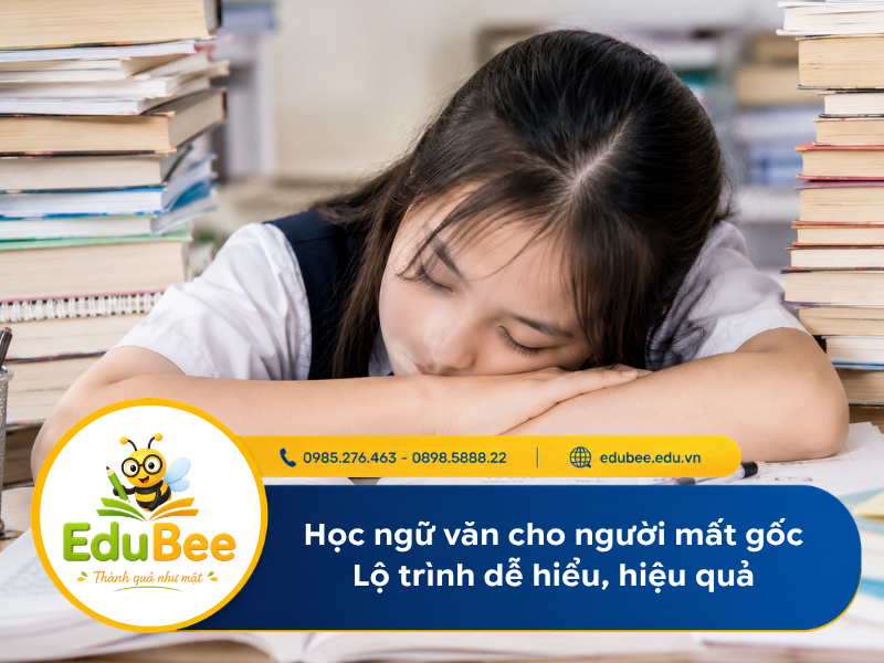 Học văn cho người mất gốc | Phương pháp xây dựng lại từ nền tảng