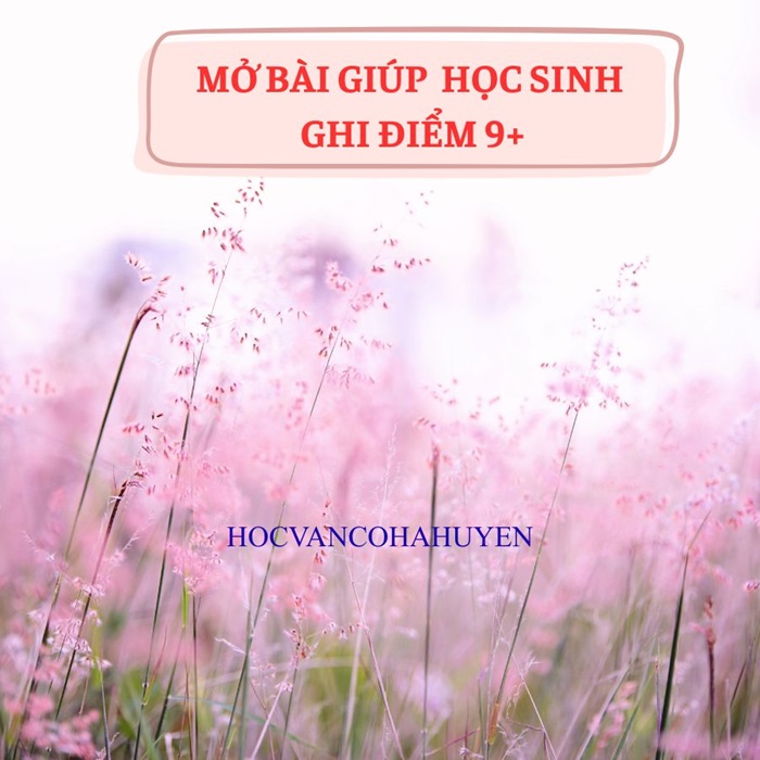 Mở bài hay cho mọi đề thi