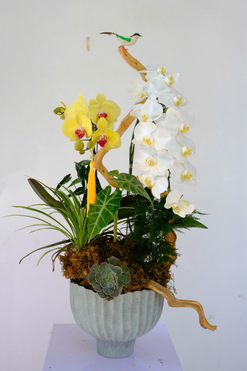 HARMONY OF PROSPERITY