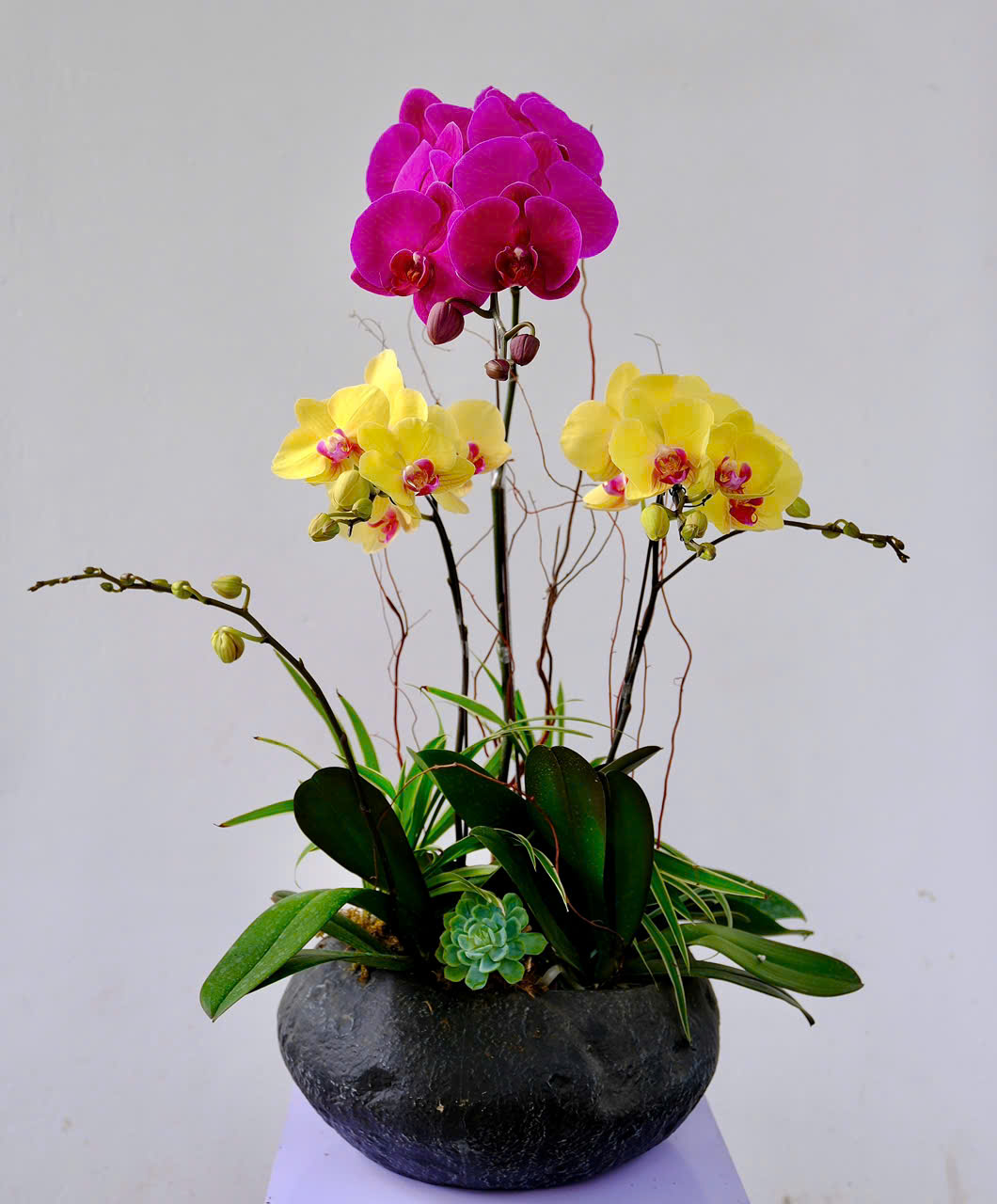 LAGENCY OF PROSPERITY