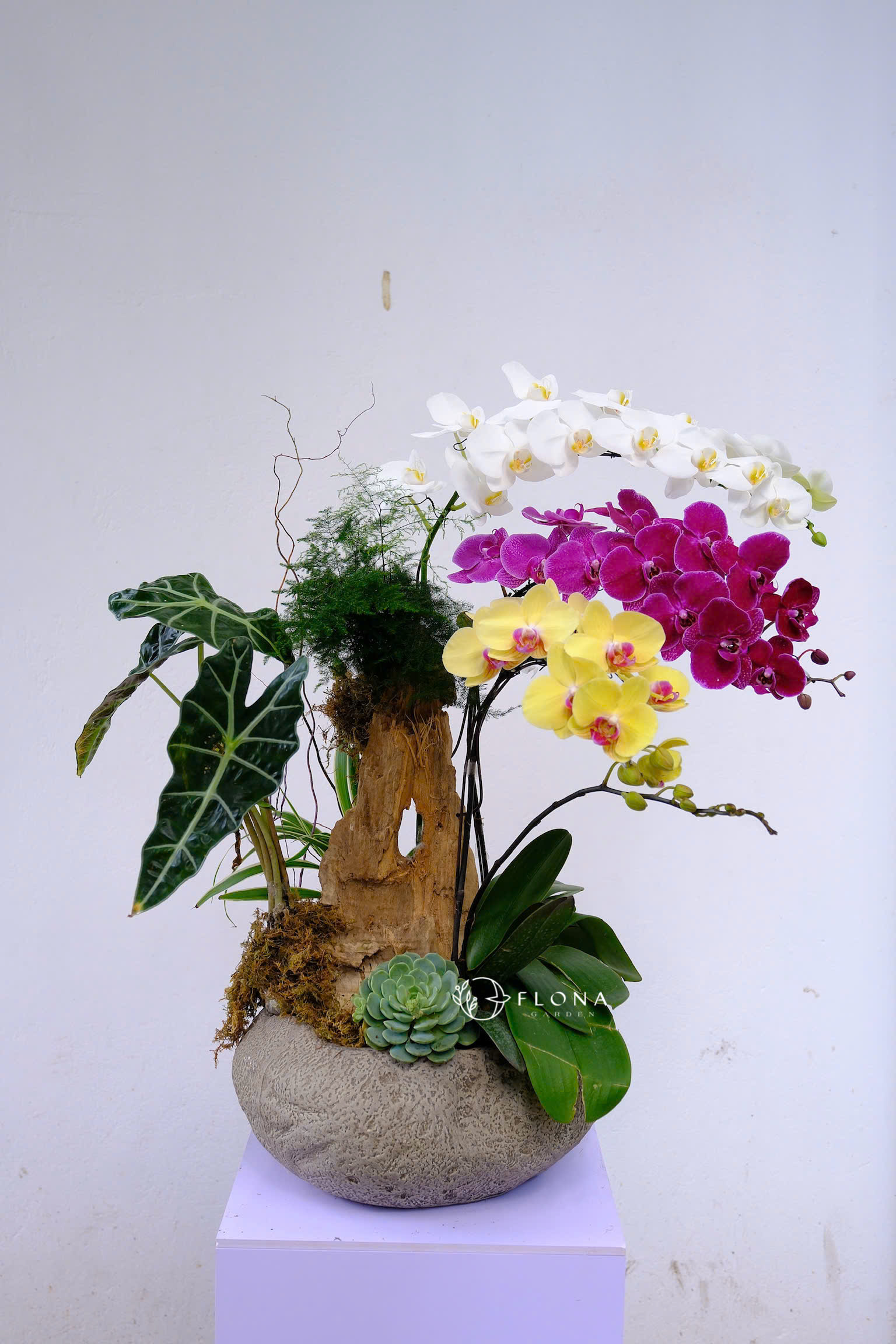 TRINITY OF PROSPERITY