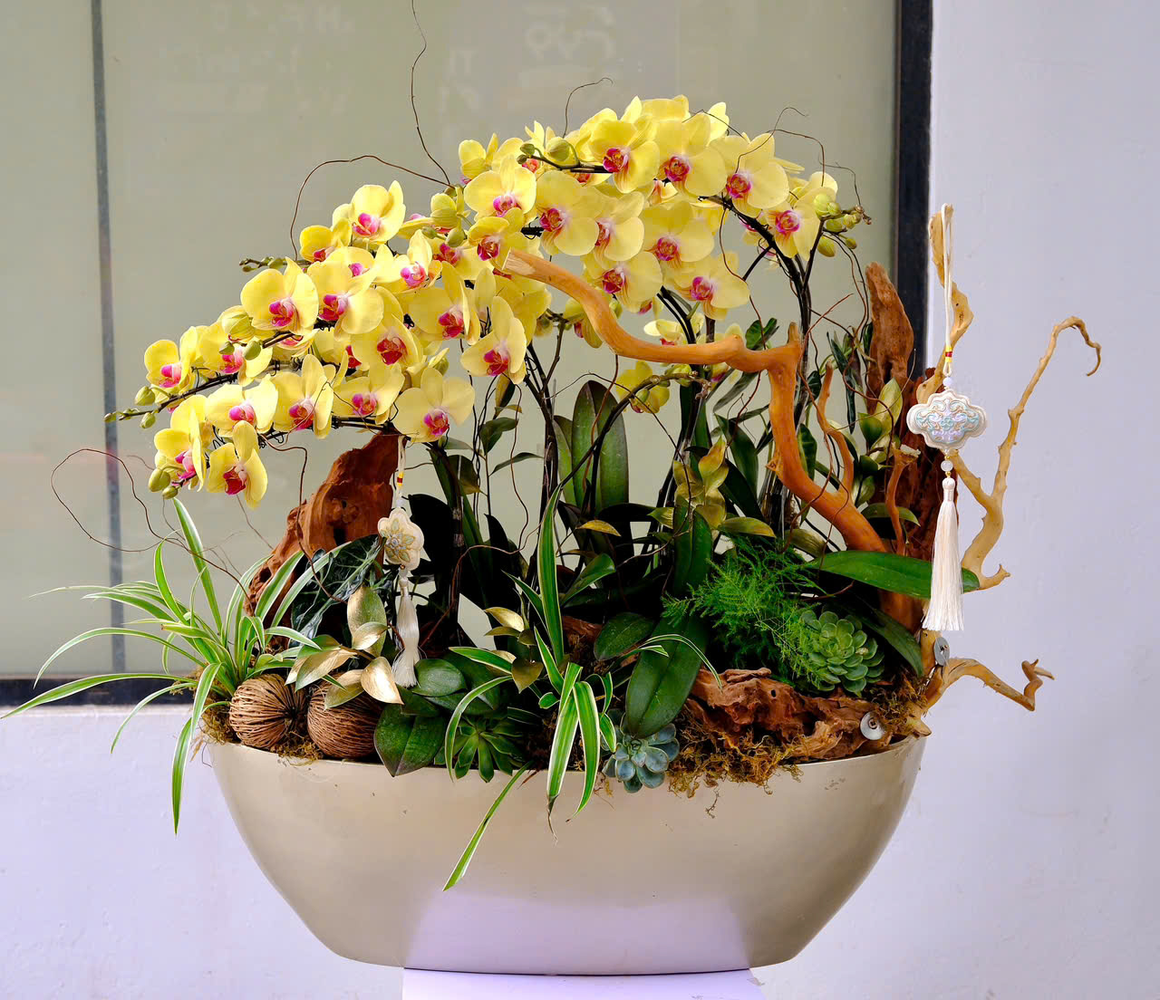 AURORA OF PROSPERITY