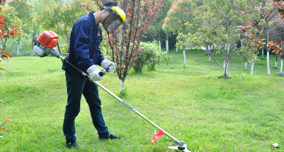 Nhập khẩu máy cắt cỏ cầm tay và phụ tùng động cơ ô tô đã qua sử dụng